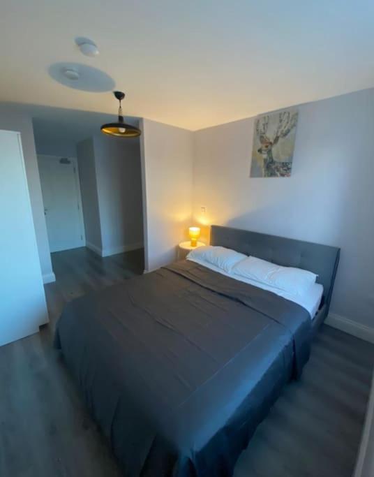 Modern and Cosy 1-Bed Apt in the Heart of Dublin