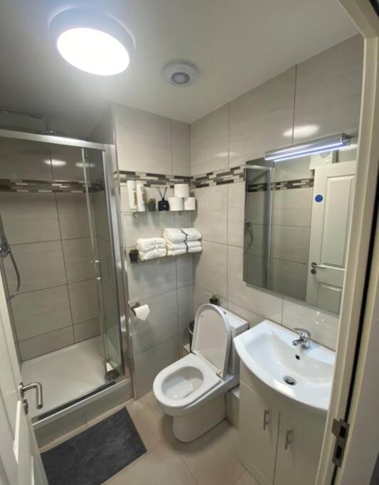 Modern and Cosy 1-Bed Apt in the Heart of Dublin