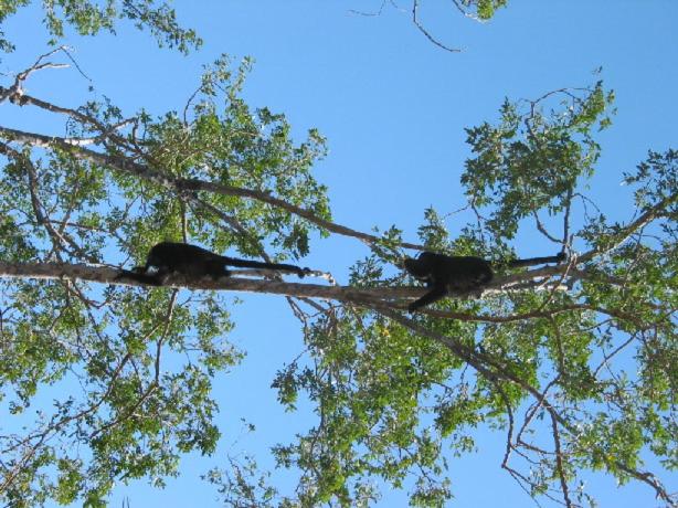 Hotel Casa Pastor, Panoramic Beach & Ocean Views