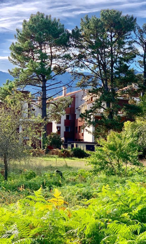 Apartamento Playa de Barro