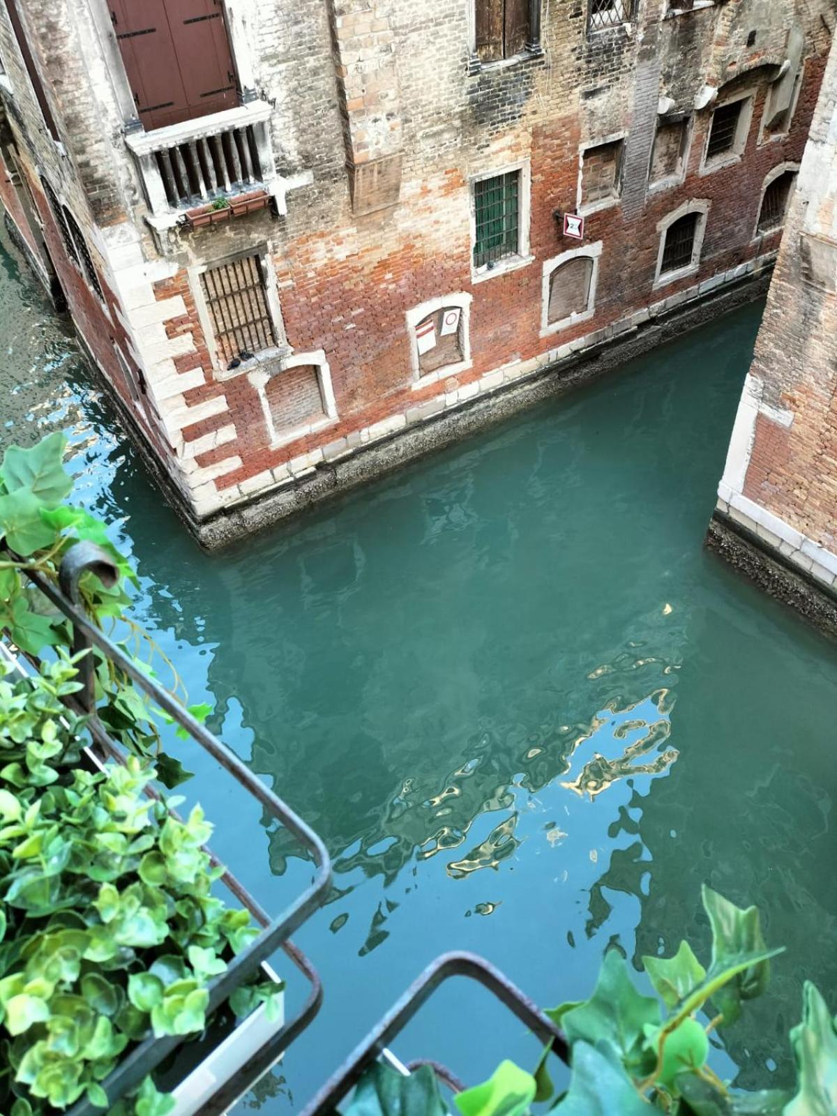 Luxury apartment near Rialto bridge