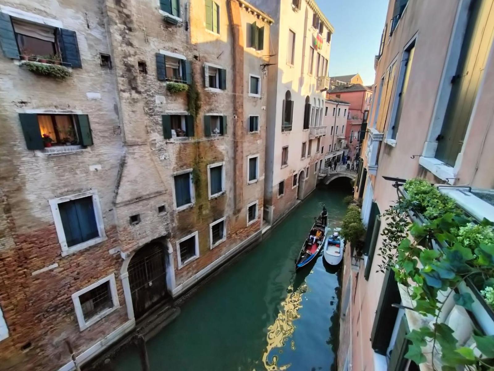Luxury apartment near Rialto bridge