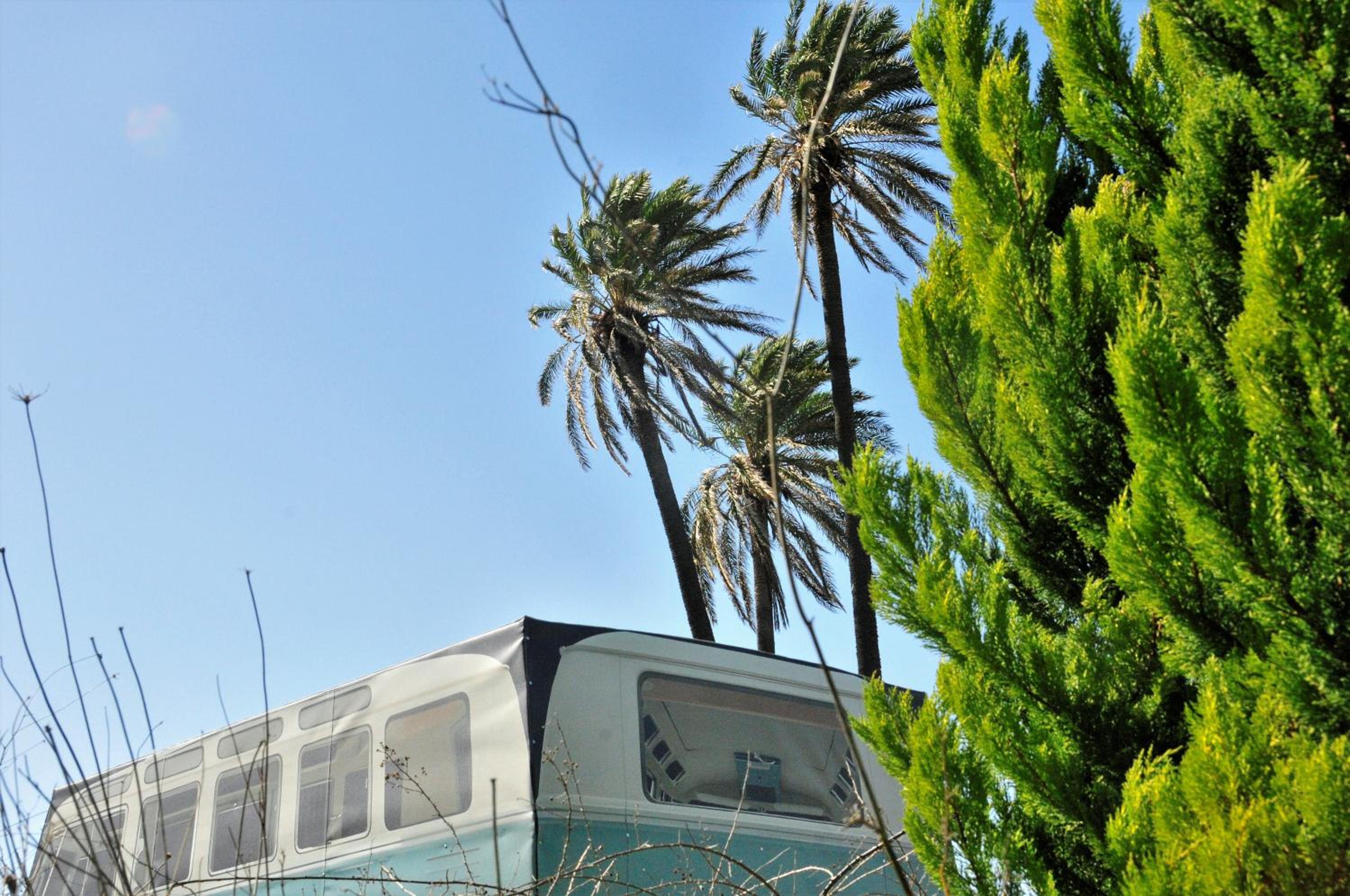 Cornelia Hippie Magic Bus photo 2