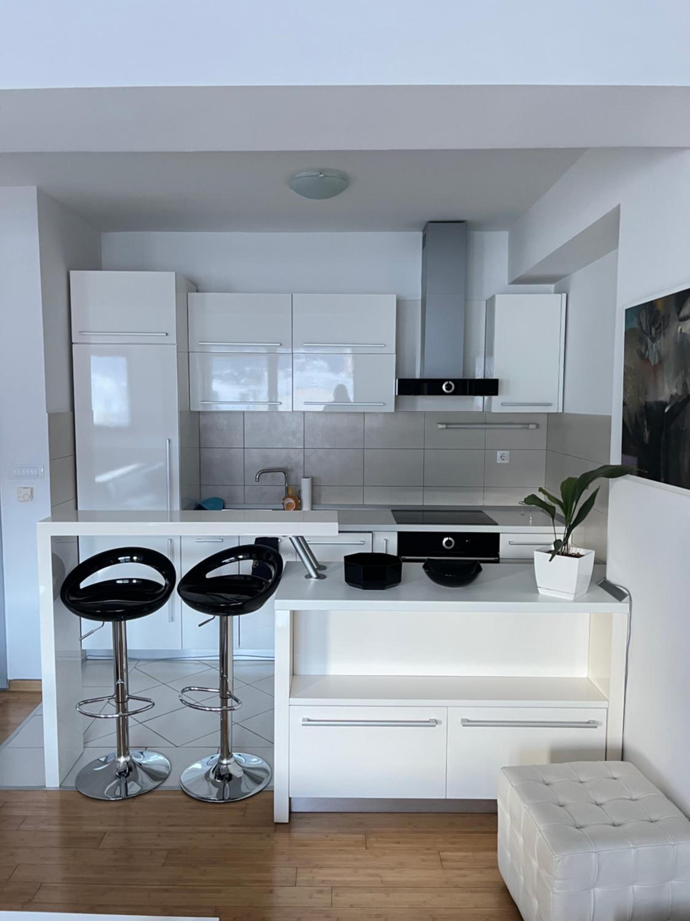 Exclusive apartment in Skopje