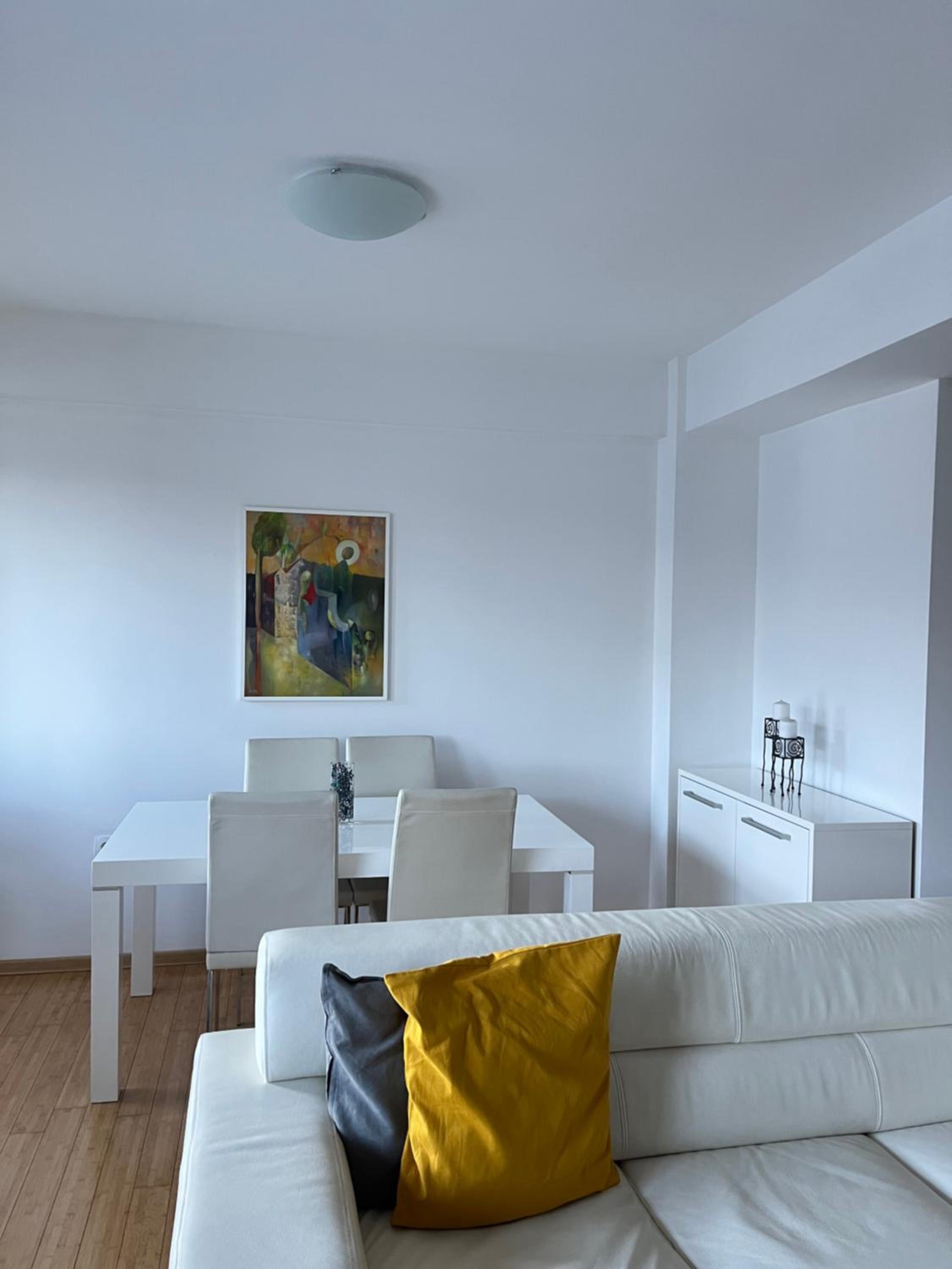 Exclusive apartment in Skopje