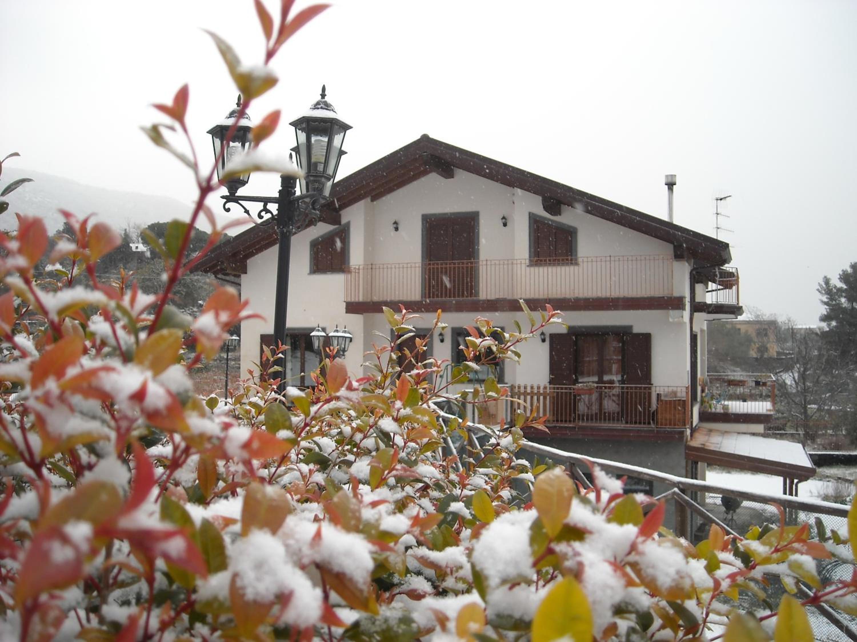 Photo 10