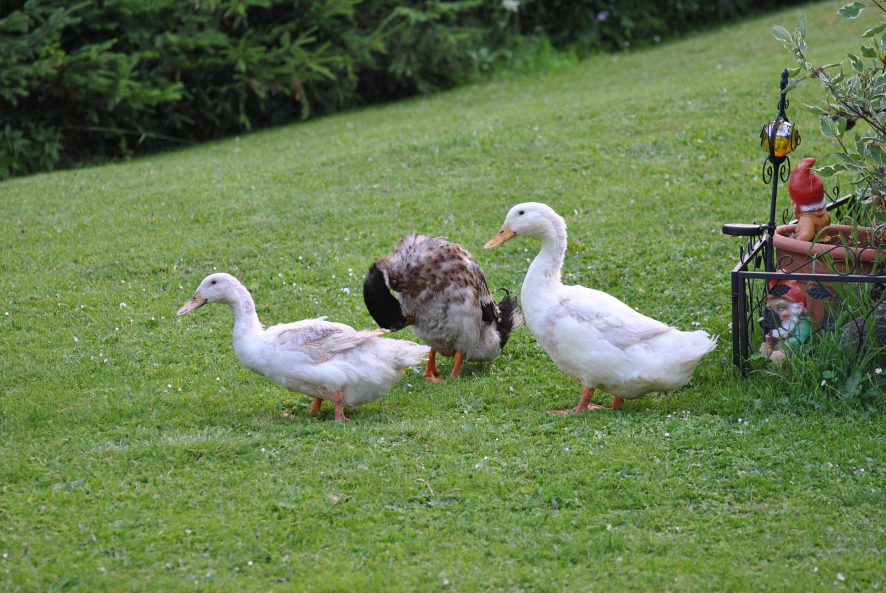 Photo 201