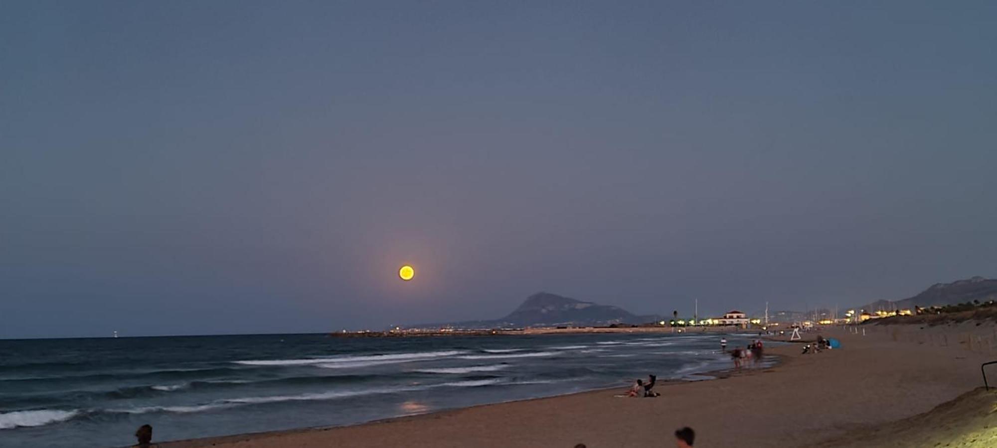 Oliva Moon