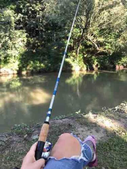 Disconnect From Reality/ River House/Hot Tub/Pet Friendly