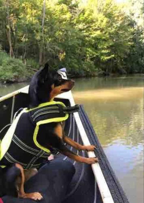 Disconnect From Reality/ River House/Hot Tub/Pet Friendly