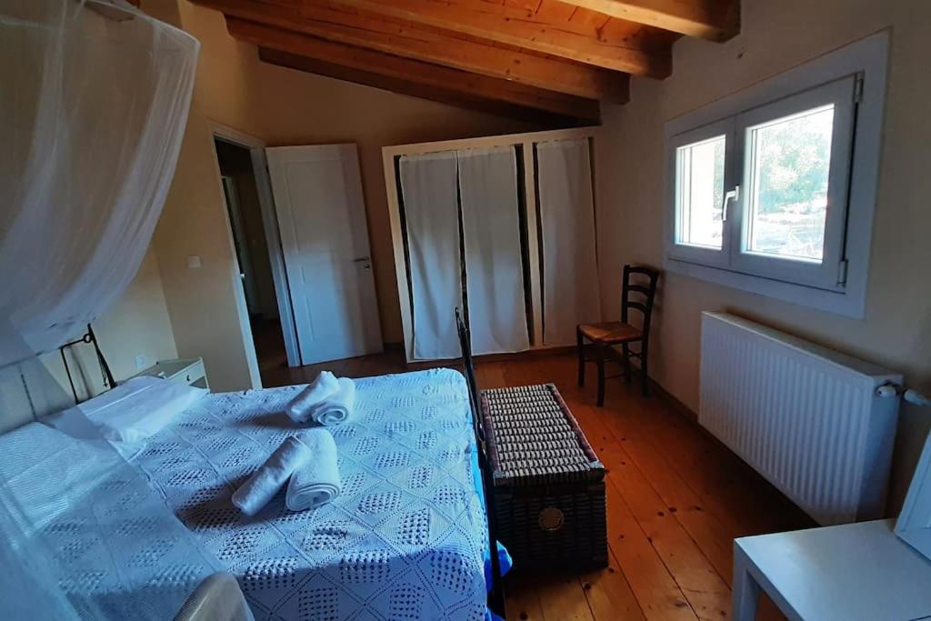 Photo 11