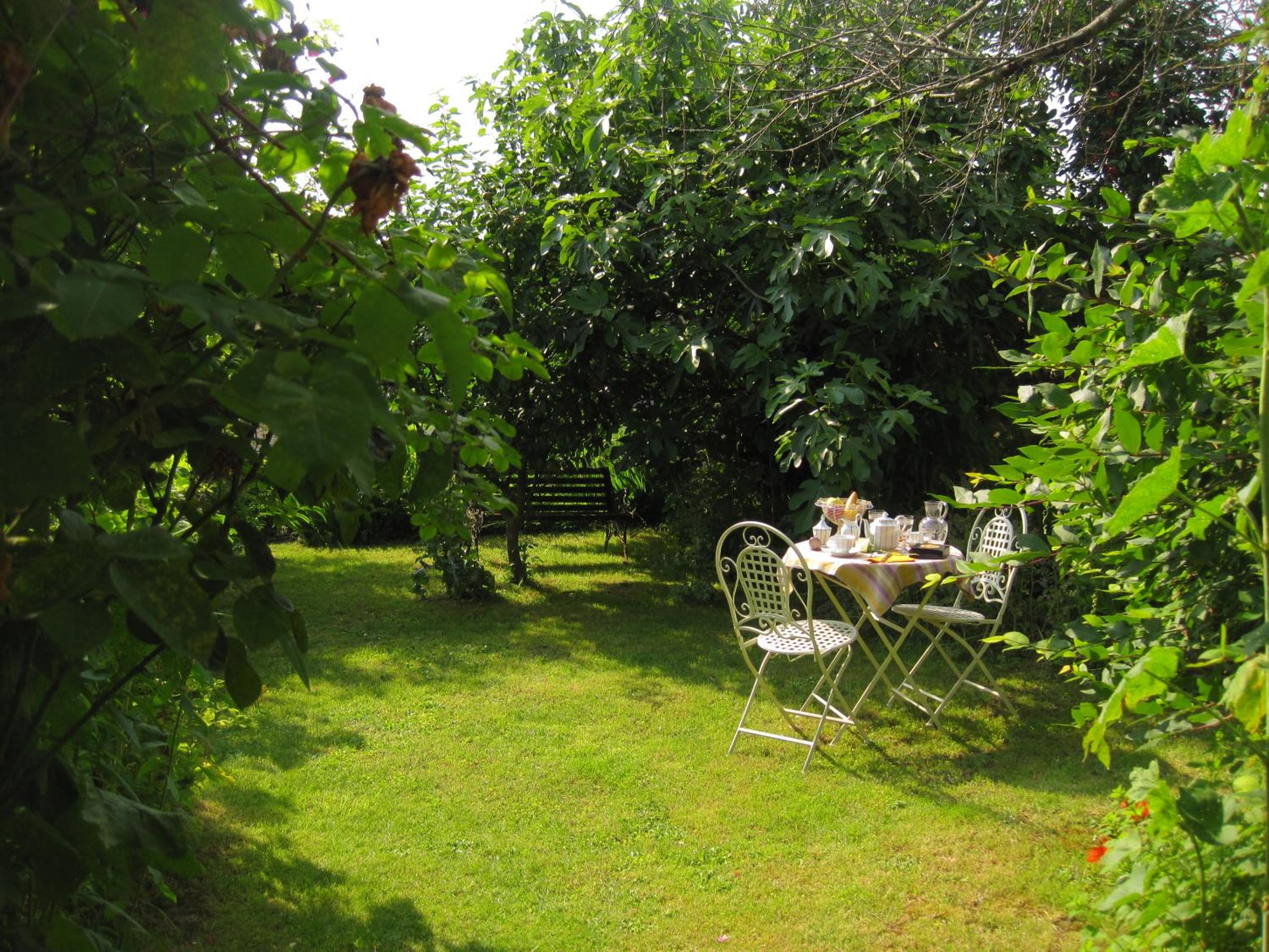 Photo 25