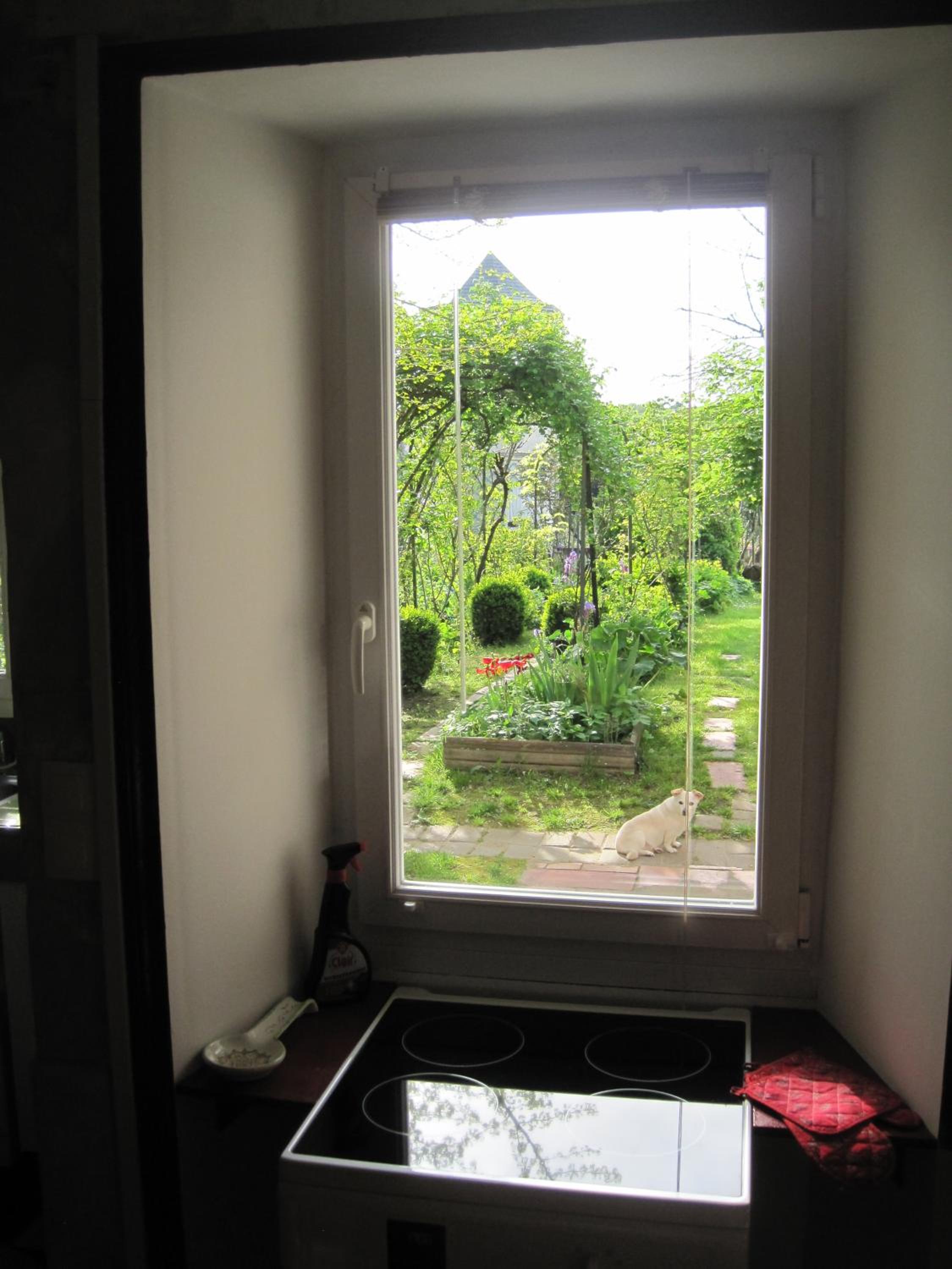 Photo 27
