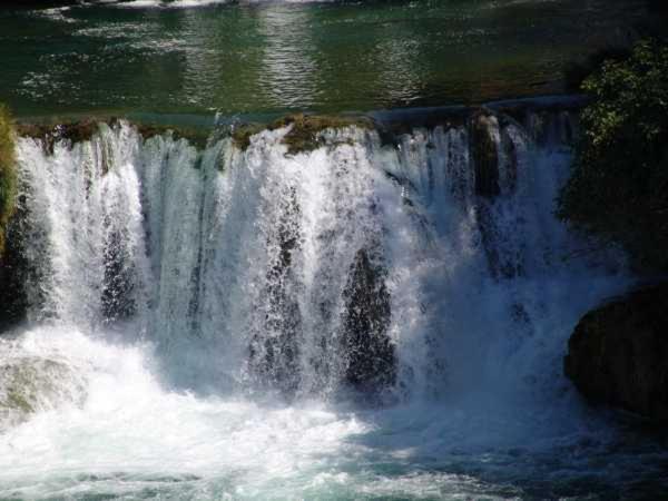 Photo 51