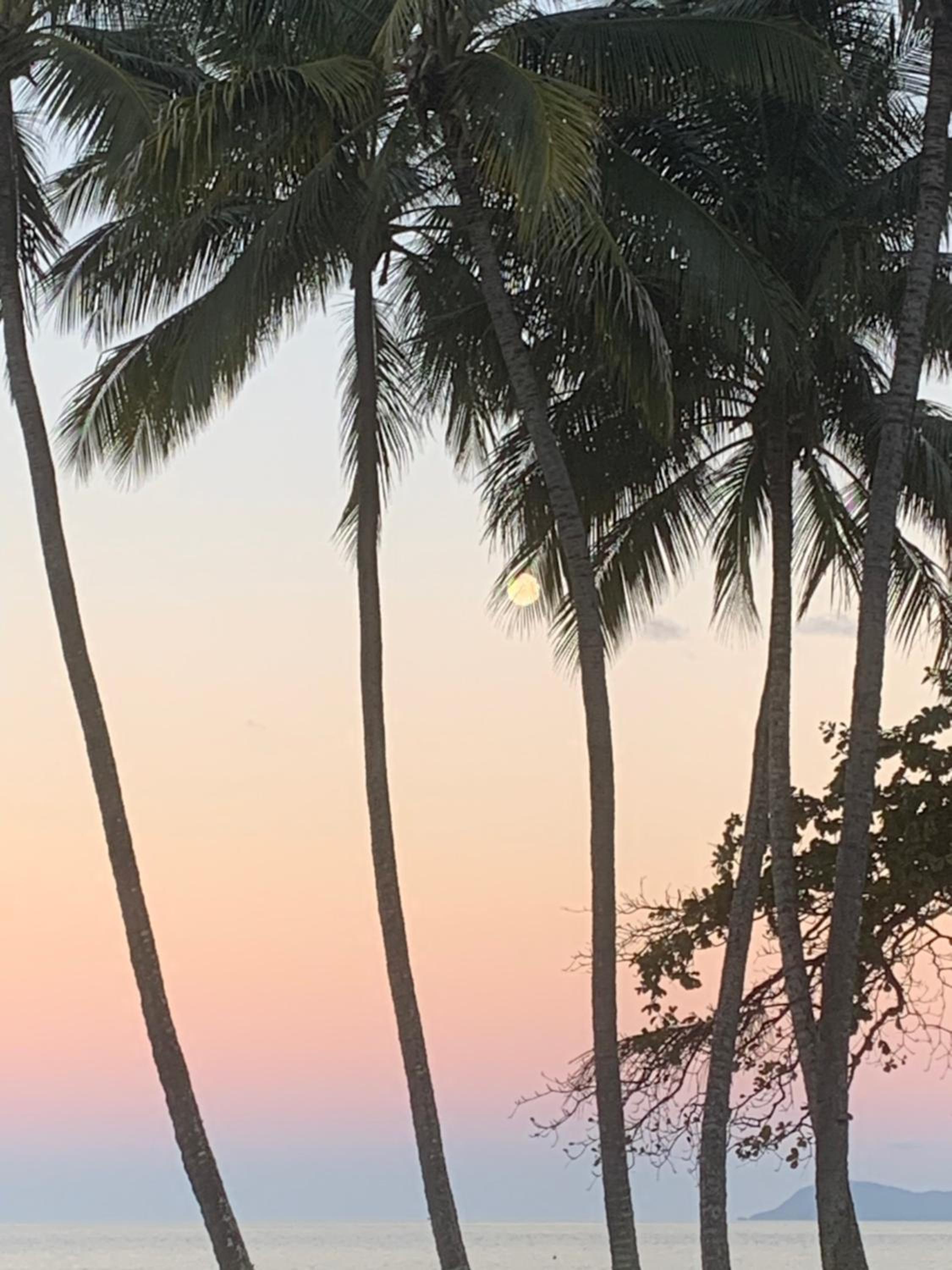 Tropical paradise
