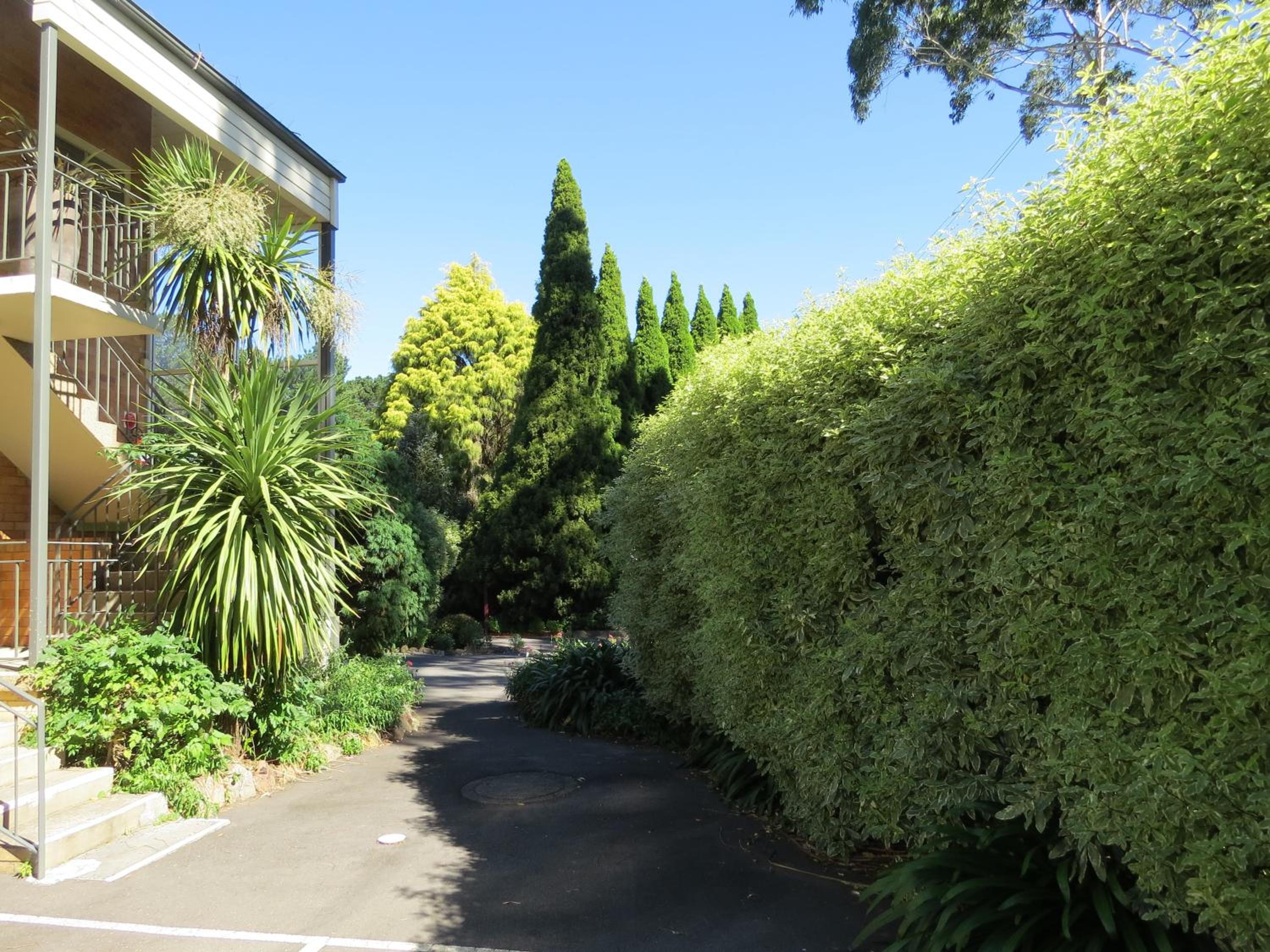 Photo 43