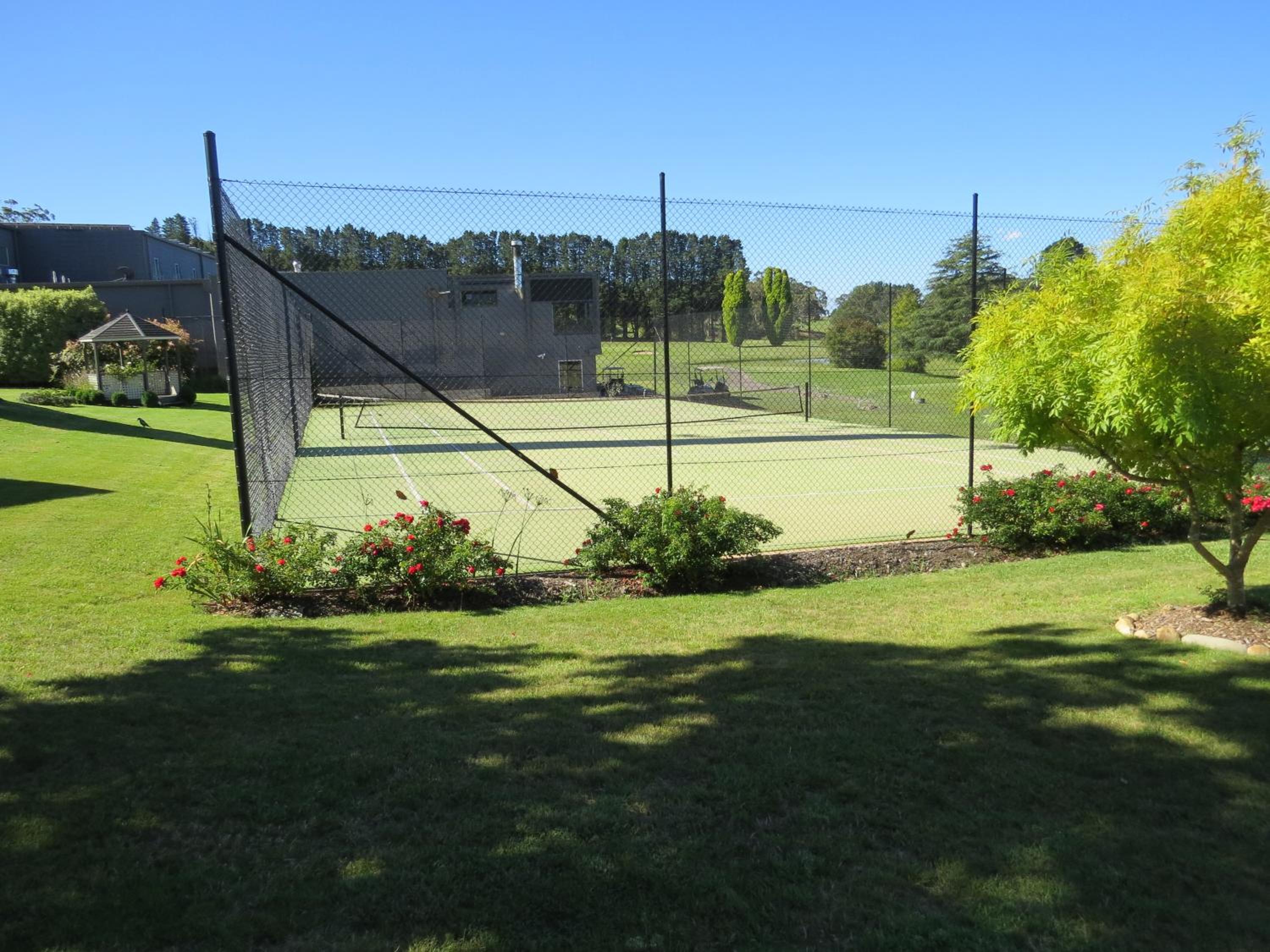 Photo 6