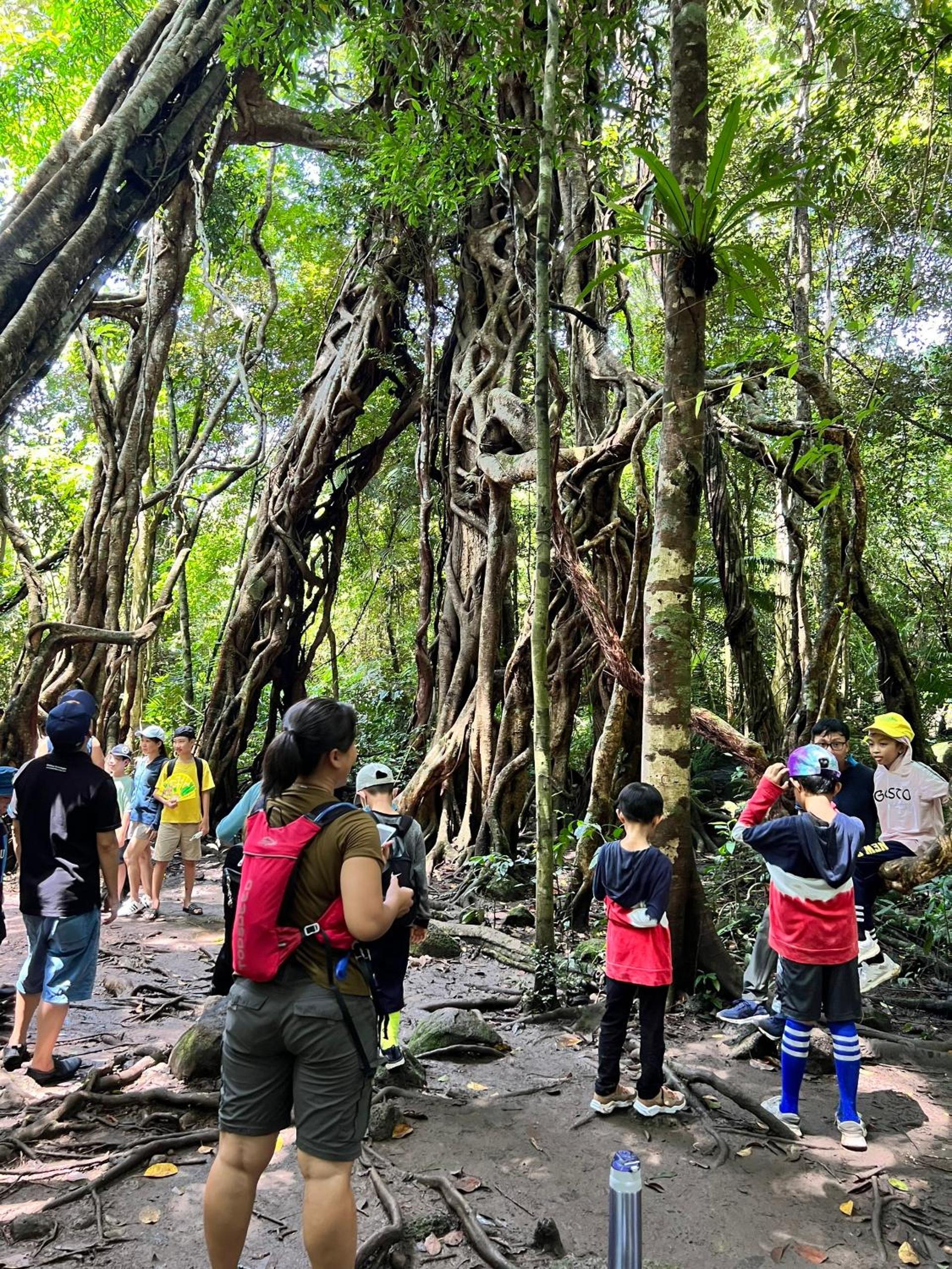 Nui Tuong Village Stay