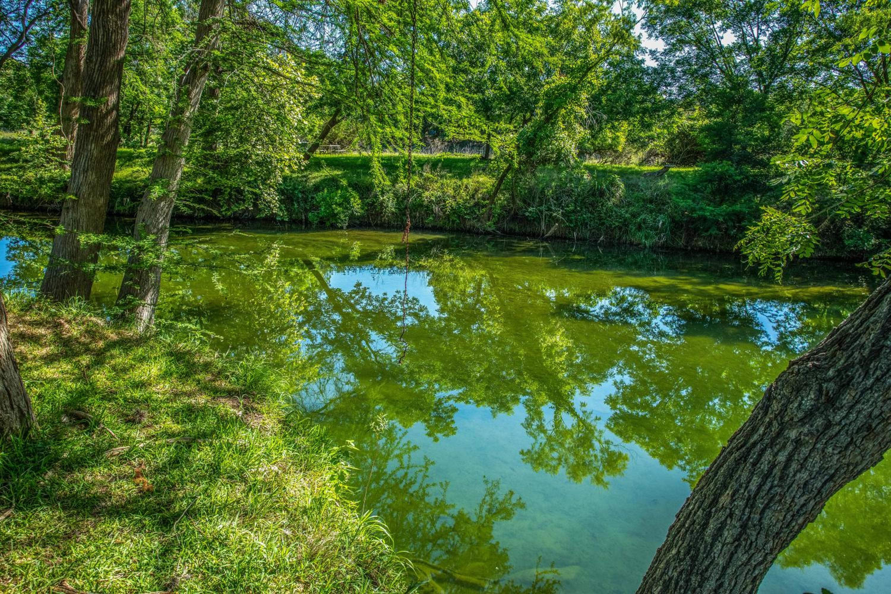Clear River Cabin on Medina view 4