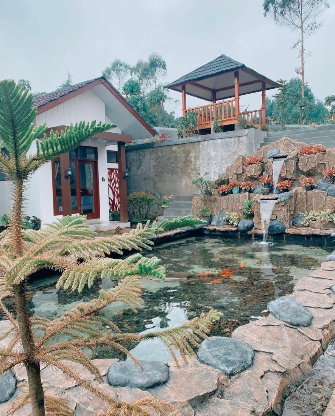 Madinna Villa Dieng view 3