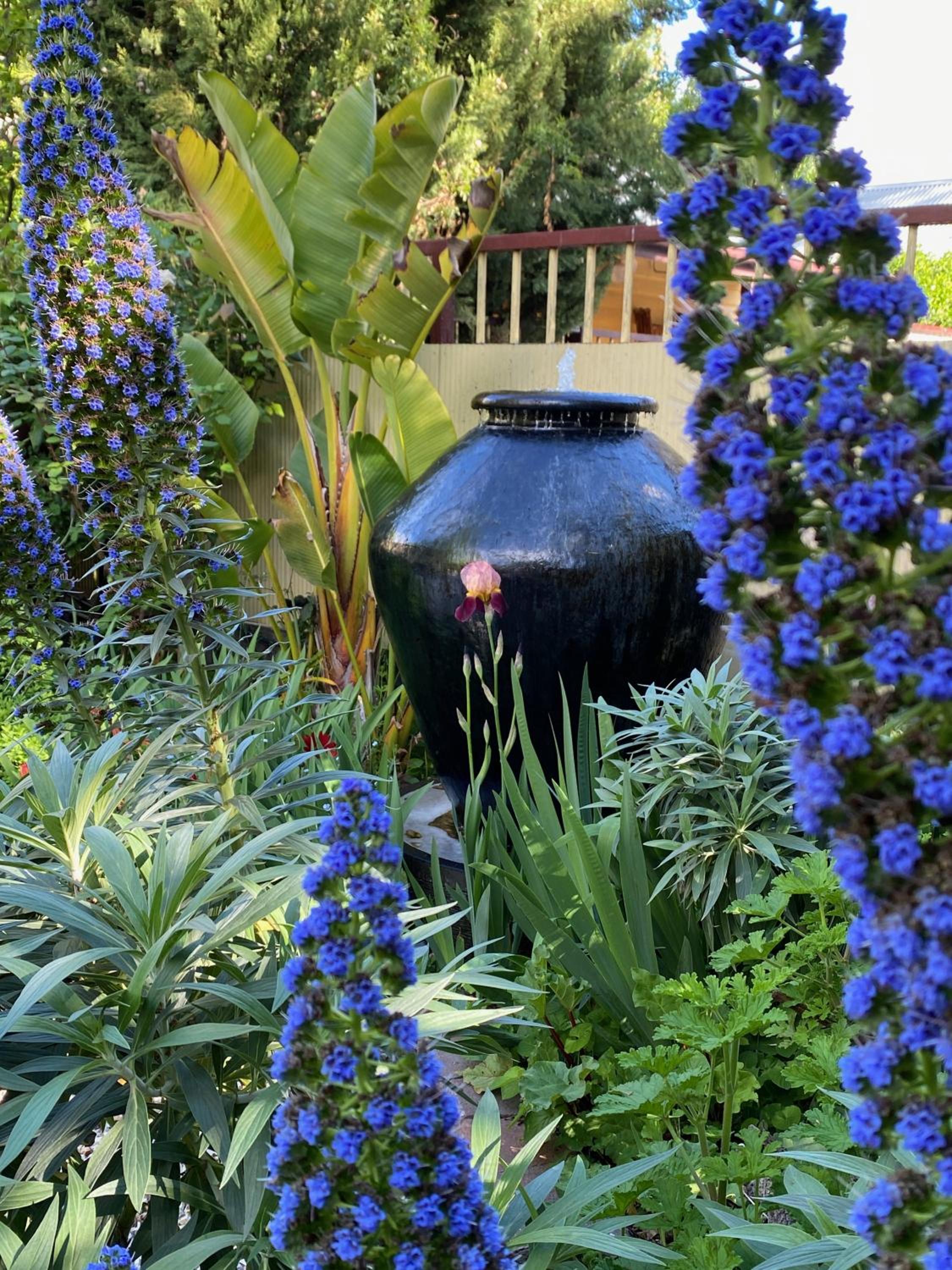 The Eaglehawk Country House Hotel - Rent your own Hotel