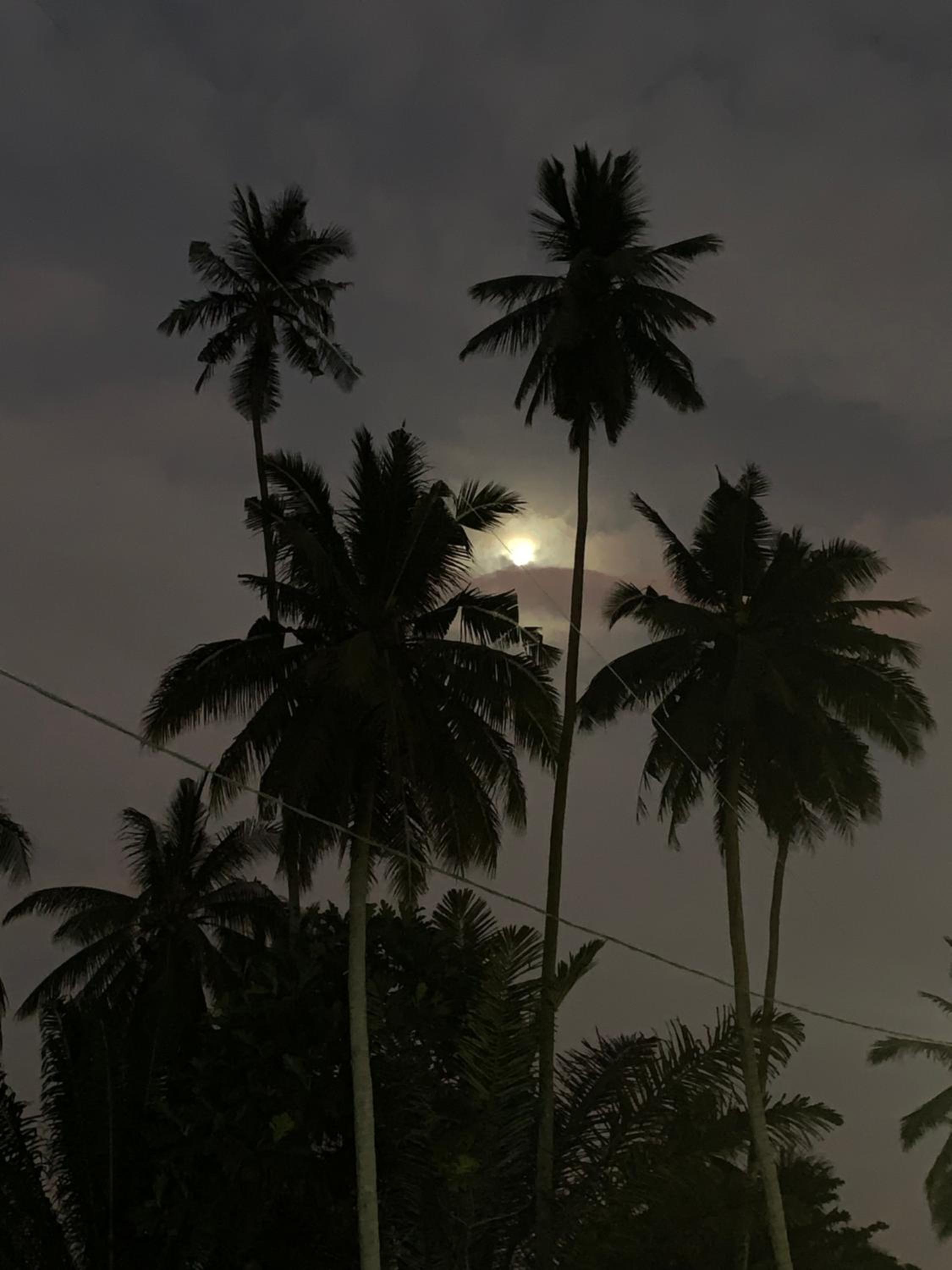 SABAYA HOMESTAY