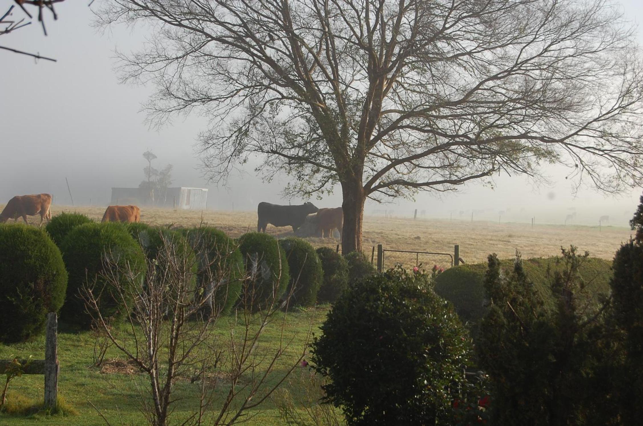 The Big Bell Farm