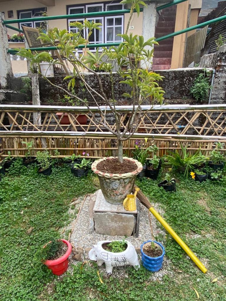Photo 6