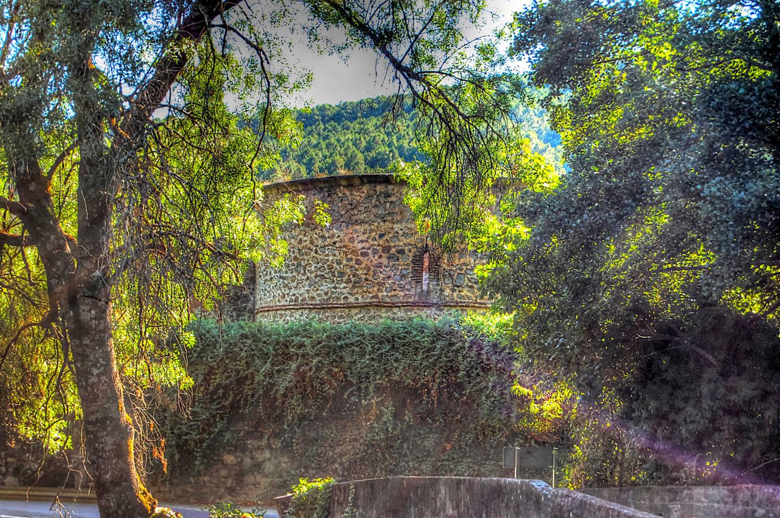 Photo 45