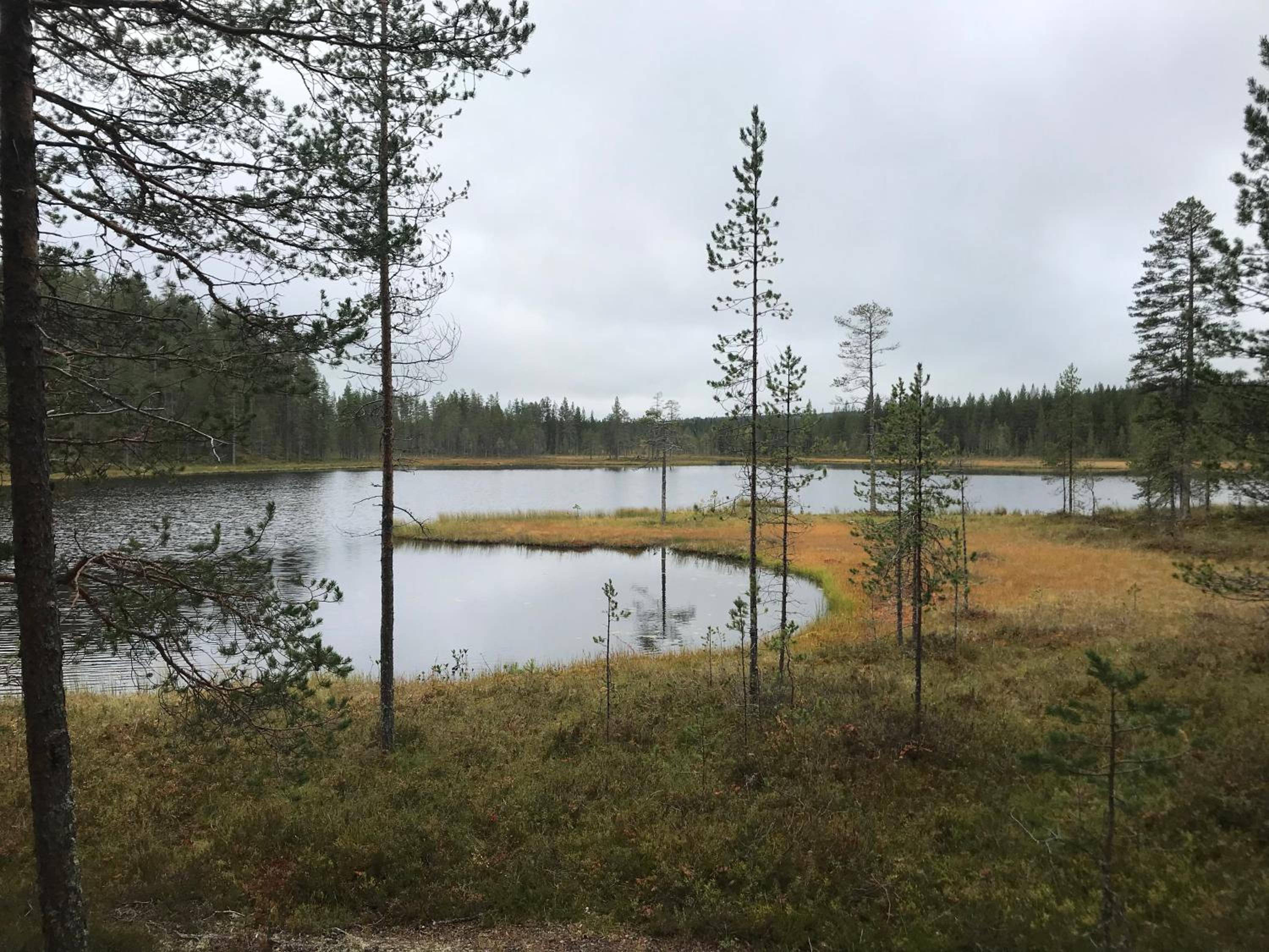 Iso-Syötteen Pilikki