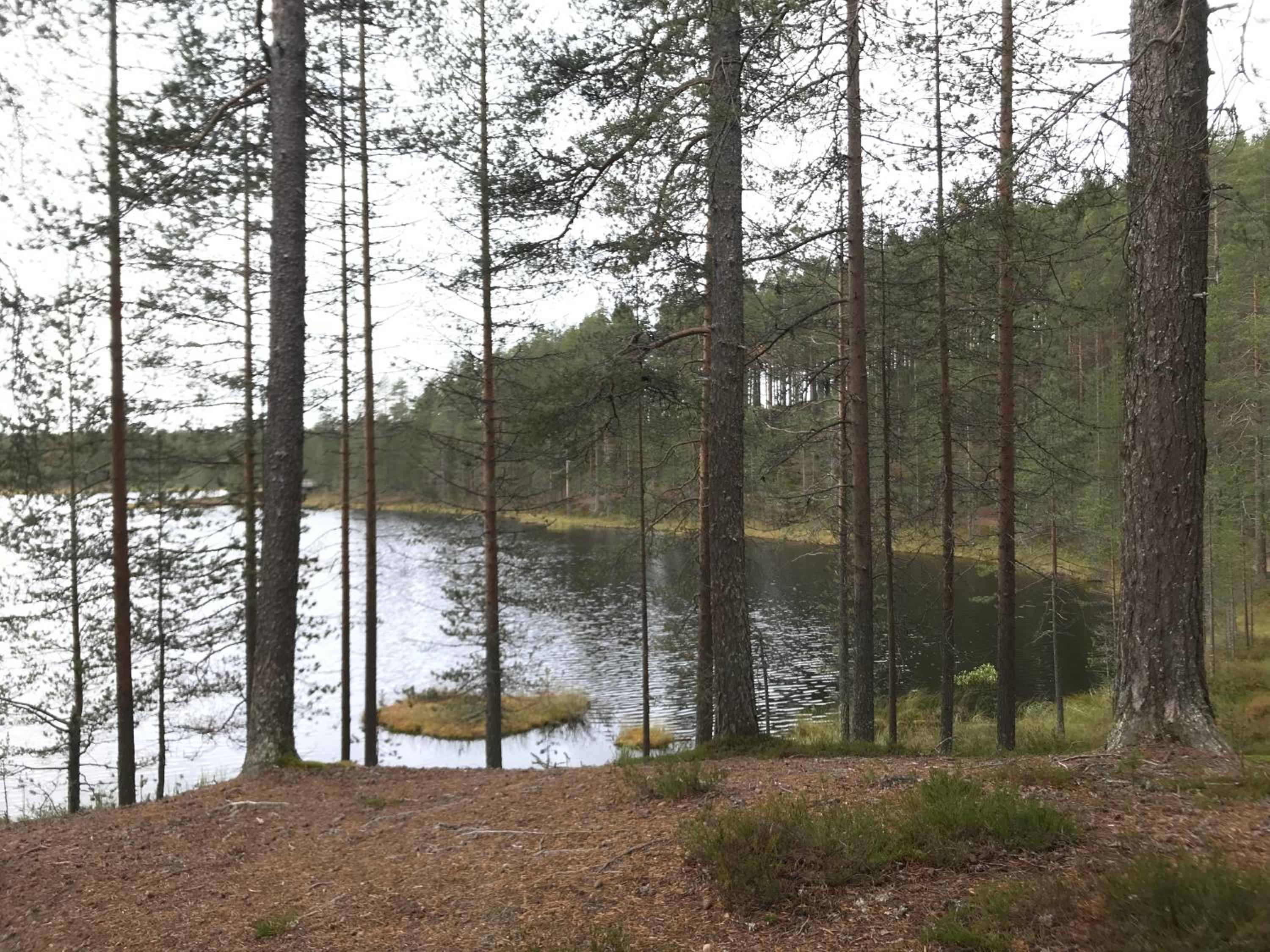 Iso-Syötteen Pilikki