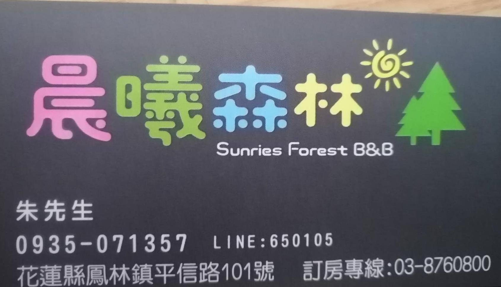 Sunrise Forest