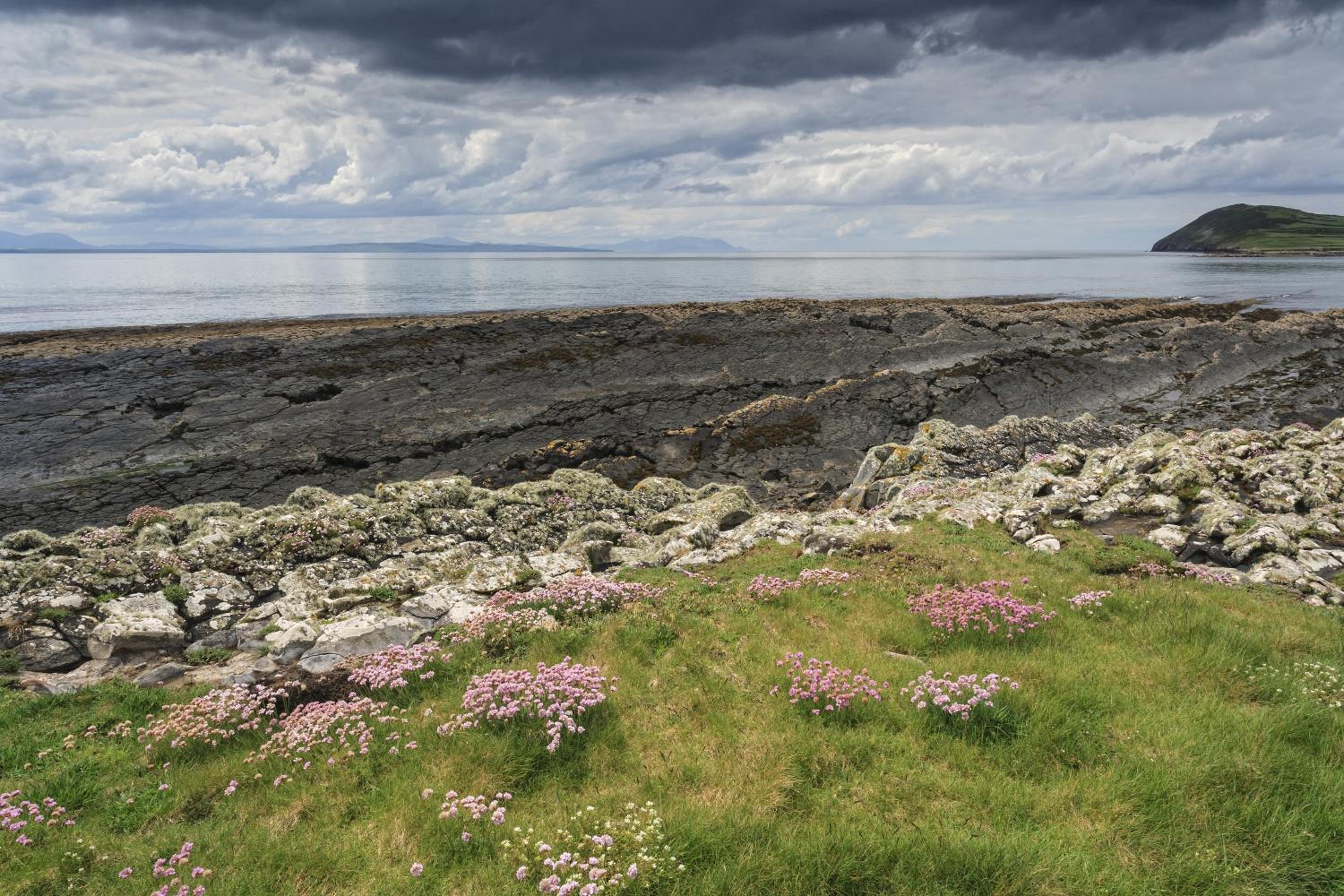 Glencarrig BB - Property Image 6