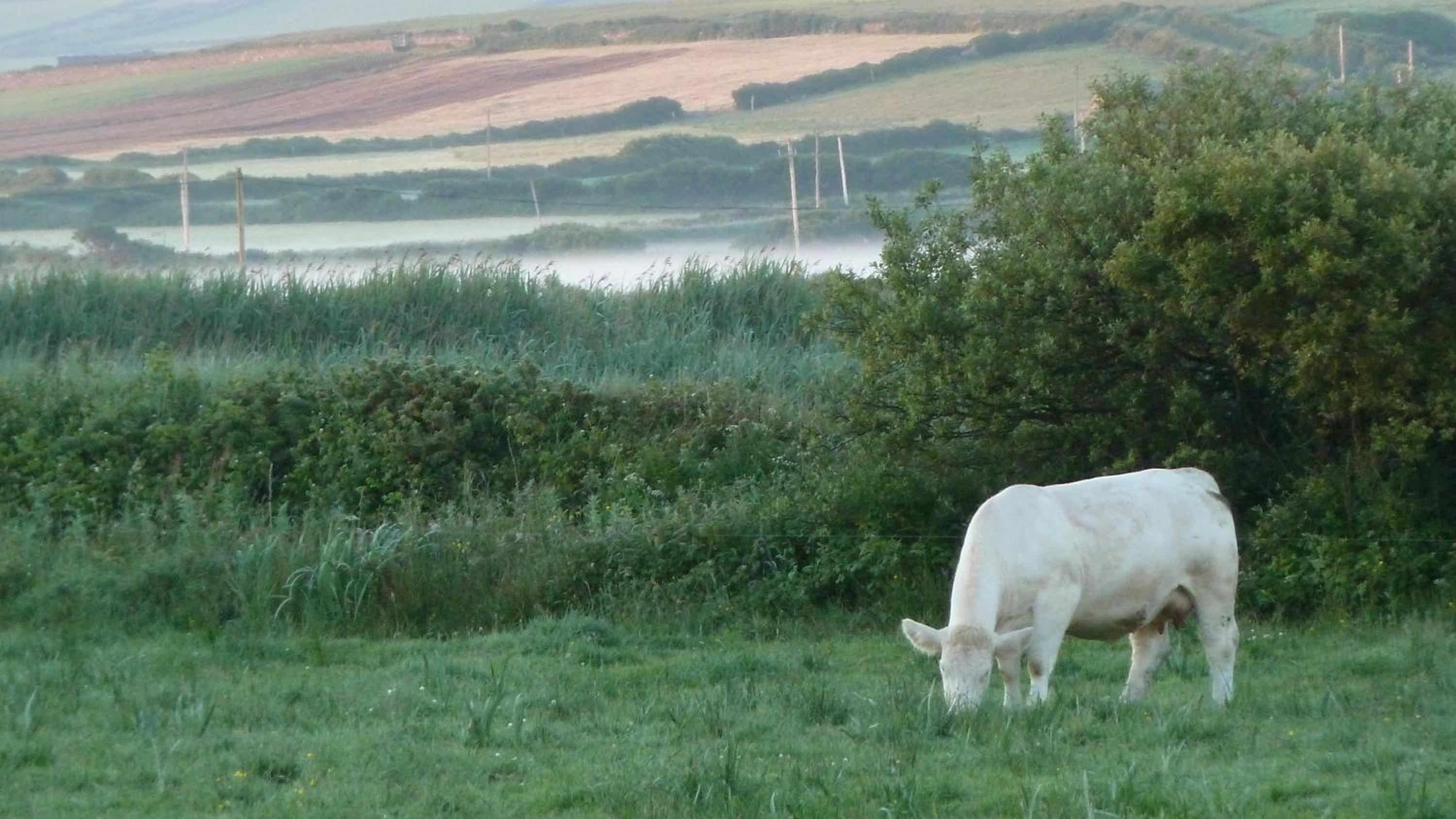 Glencarrig BB - Property Image 7