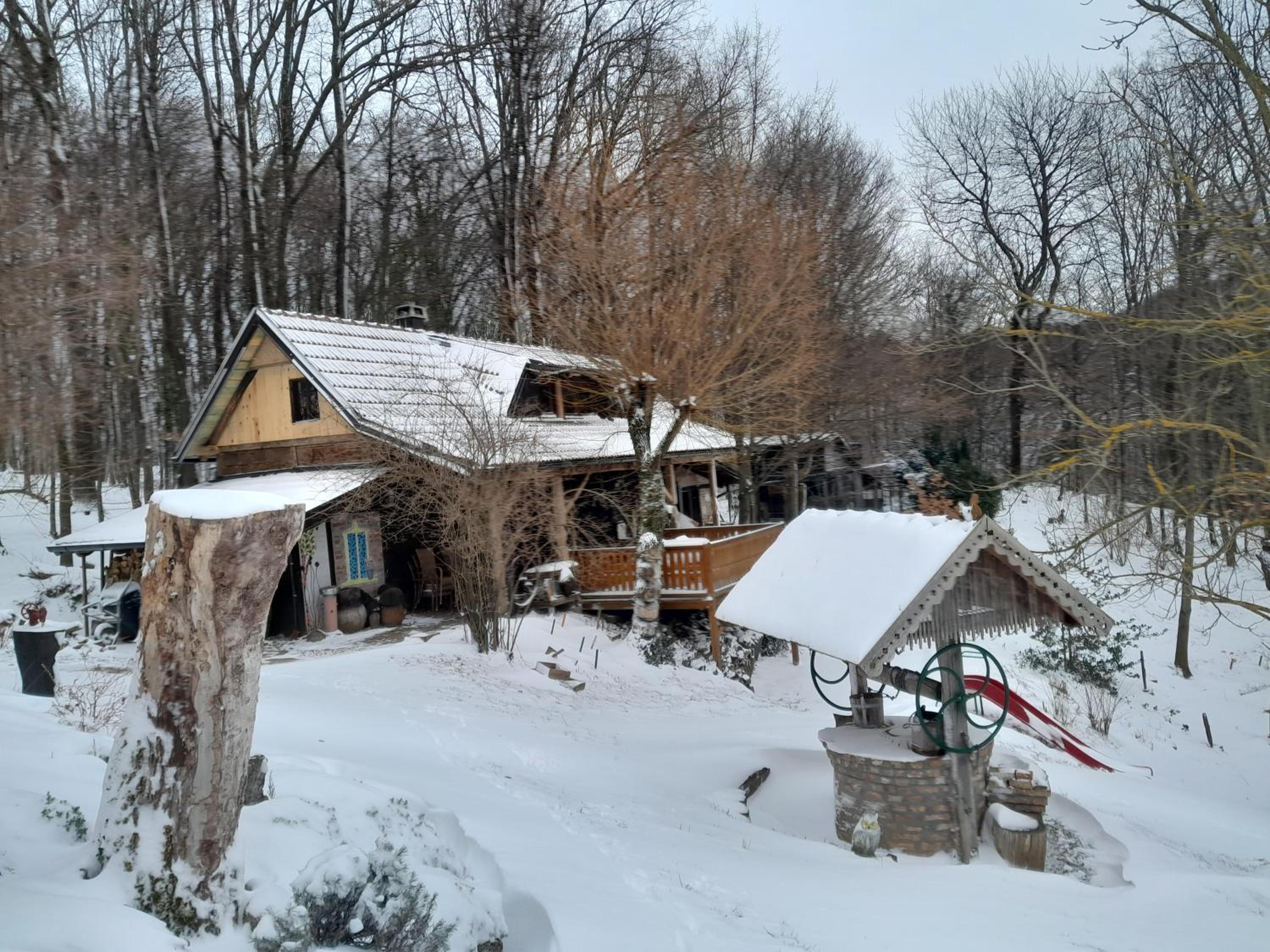Country house with a pool in Medvednica Nature Park