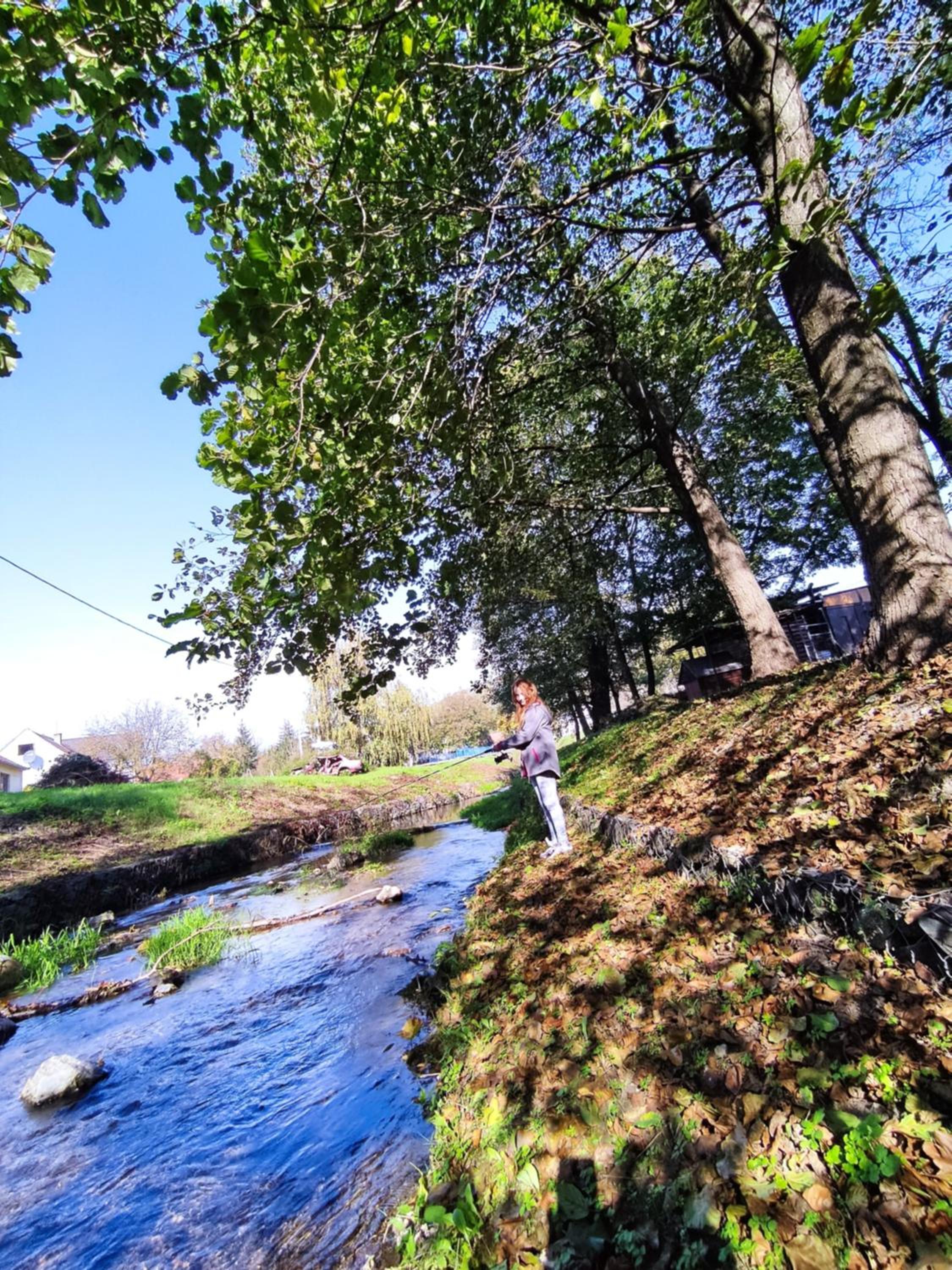 Photo 40
