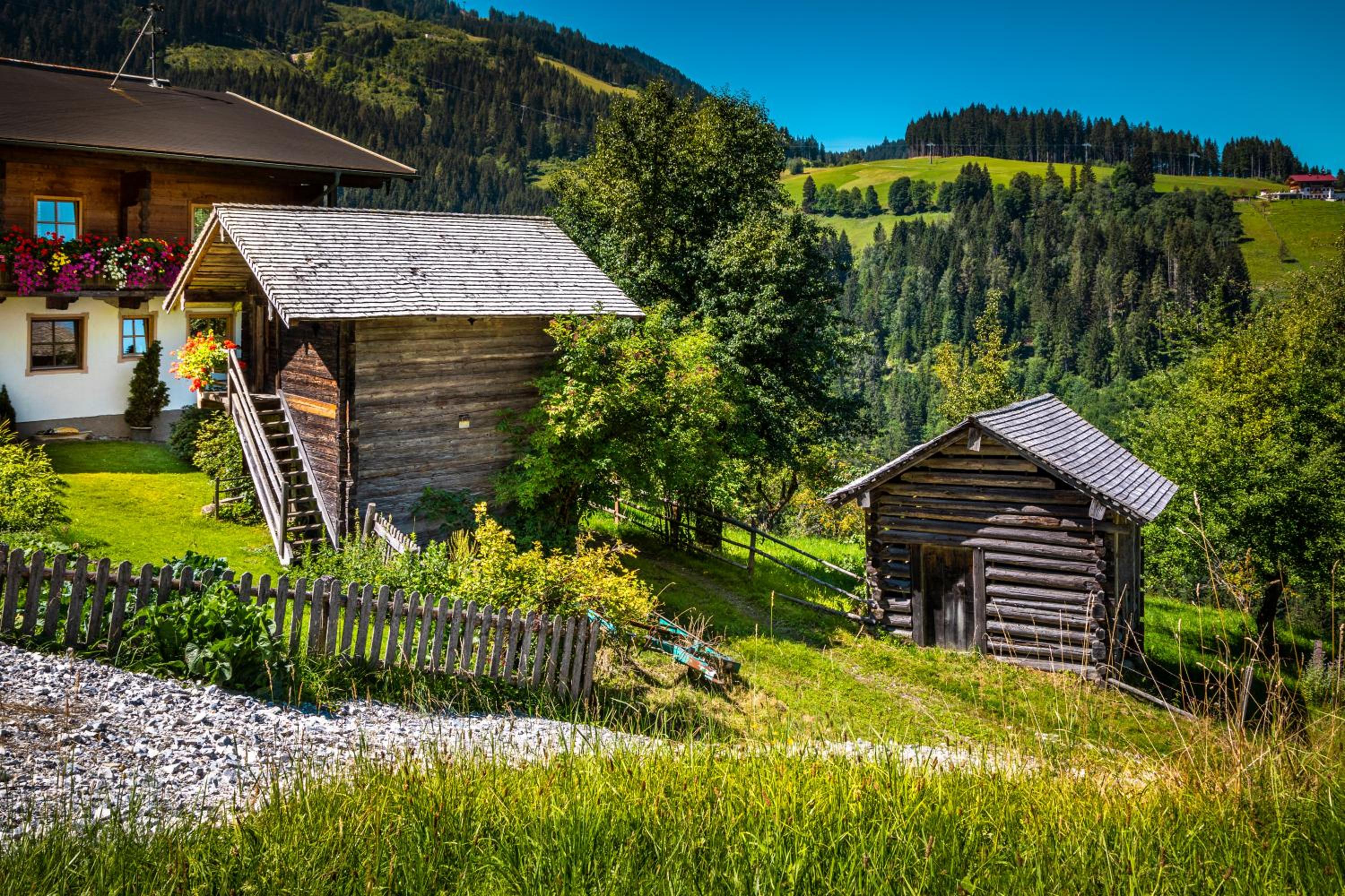 Hallmoosgut