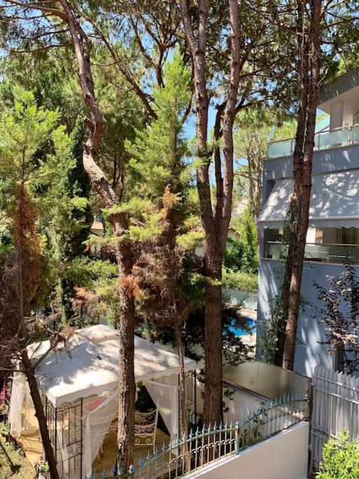 Forest Cottage - middle of forest & near the beach