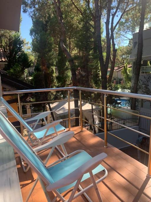 Forest Cottage - middle of forest & near the beach