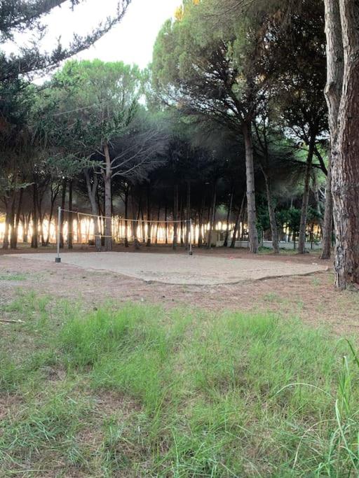 Forest Cottage - middle of forest & near the beach