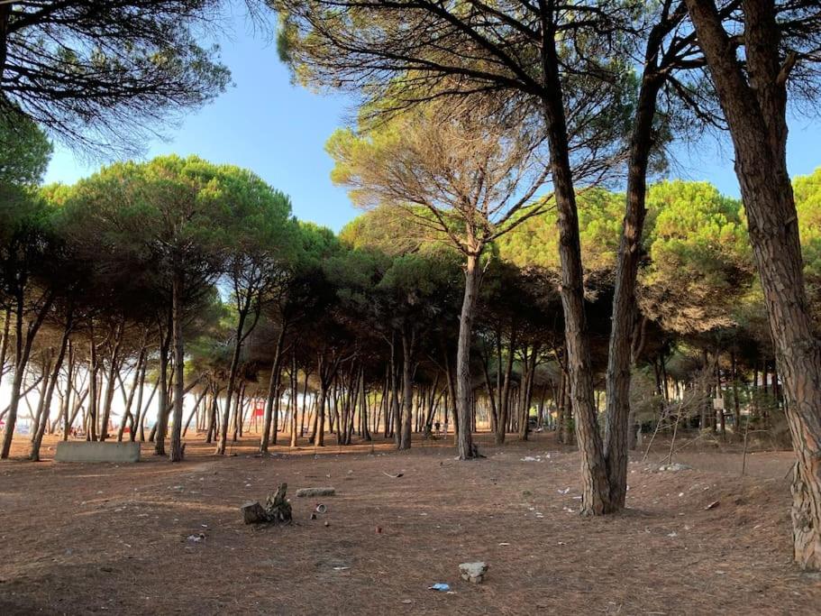 Forest Cottage - middle of forest & near the beach