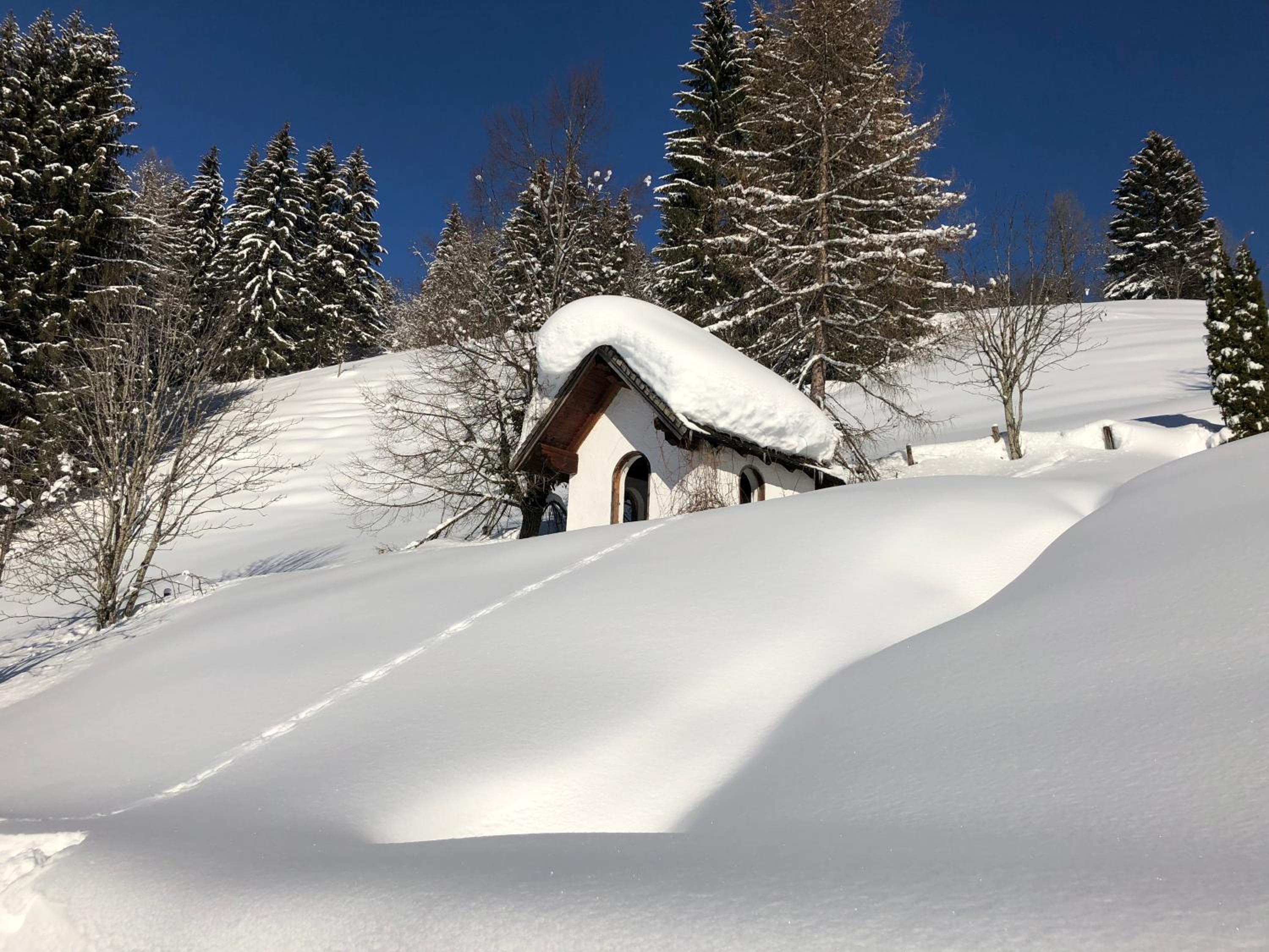 Hallmoosgut