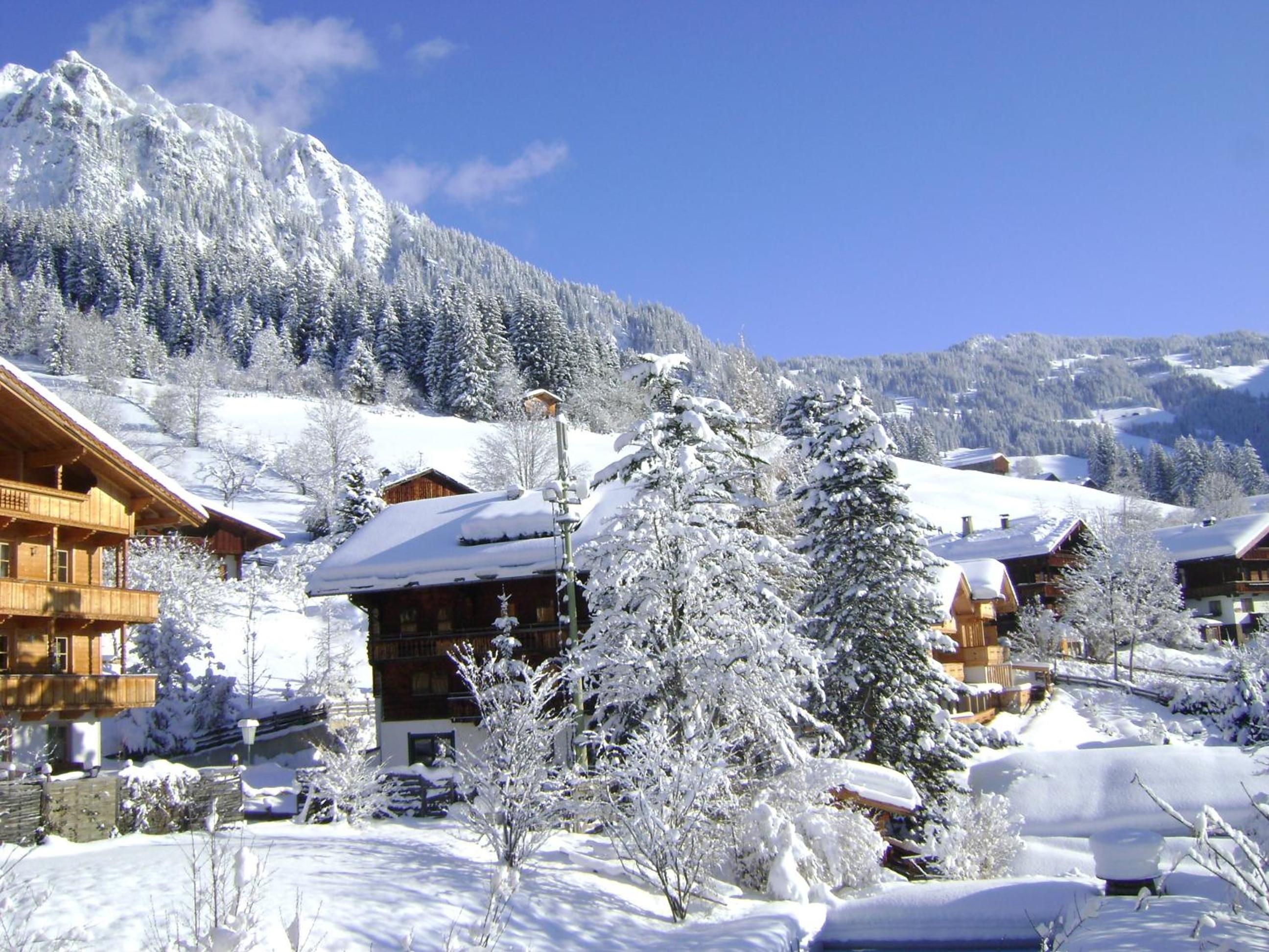 Appartement Alpina