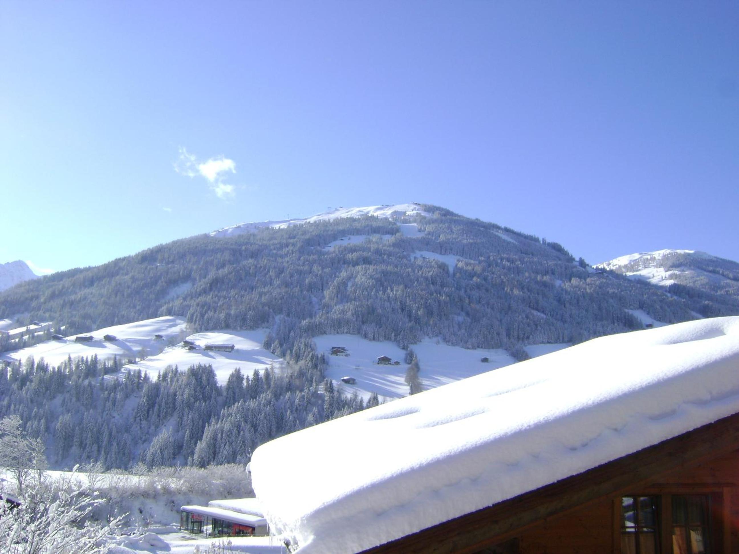 Appartement Alpina