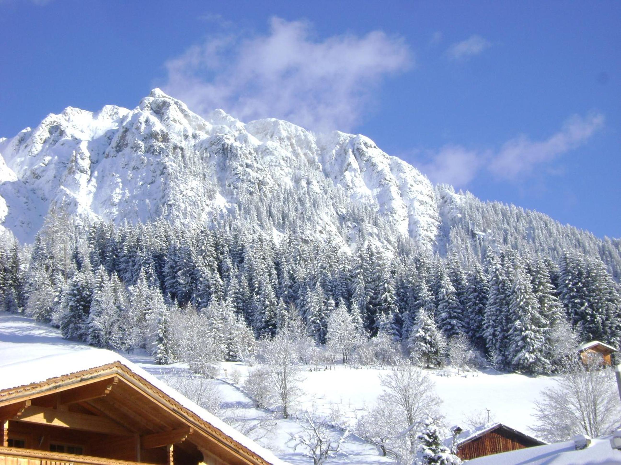 Appartement Alpina