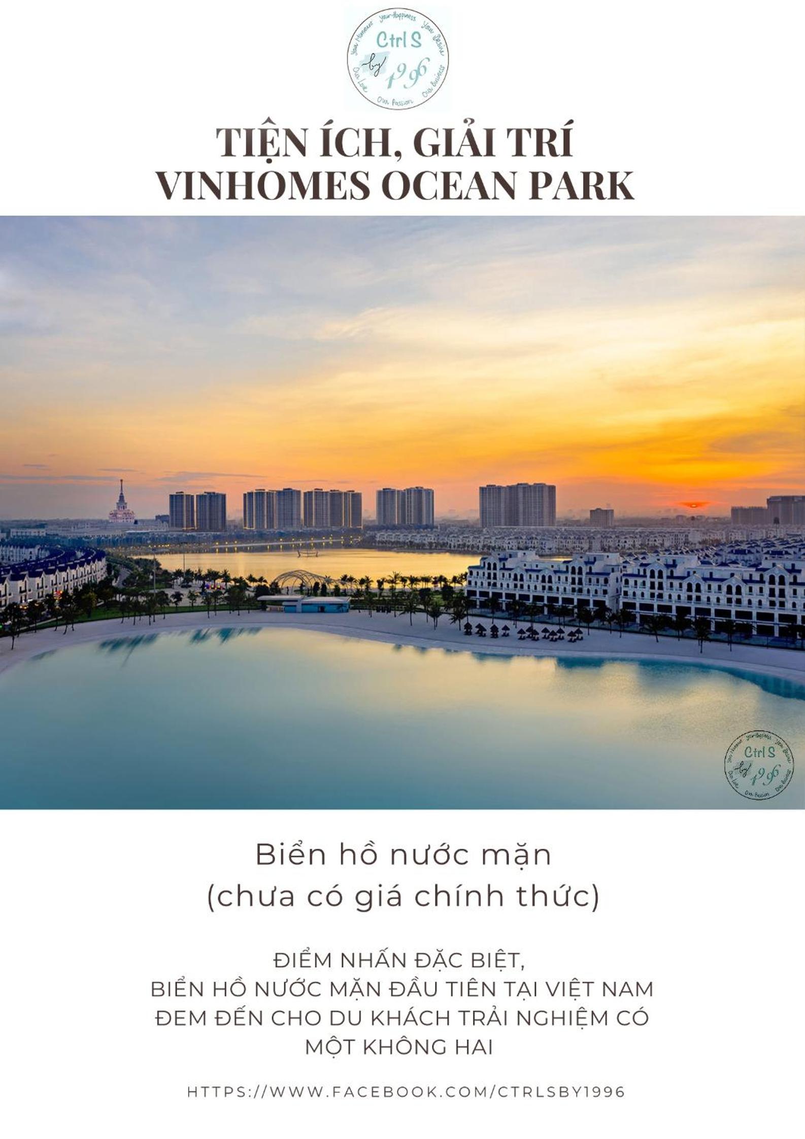 Vinhomes Ocean Park - Ctrl S by 1996 - The Luxe with bathtub - The Light with bathtub and projector - The Vintage with high floor - The Indochine with open