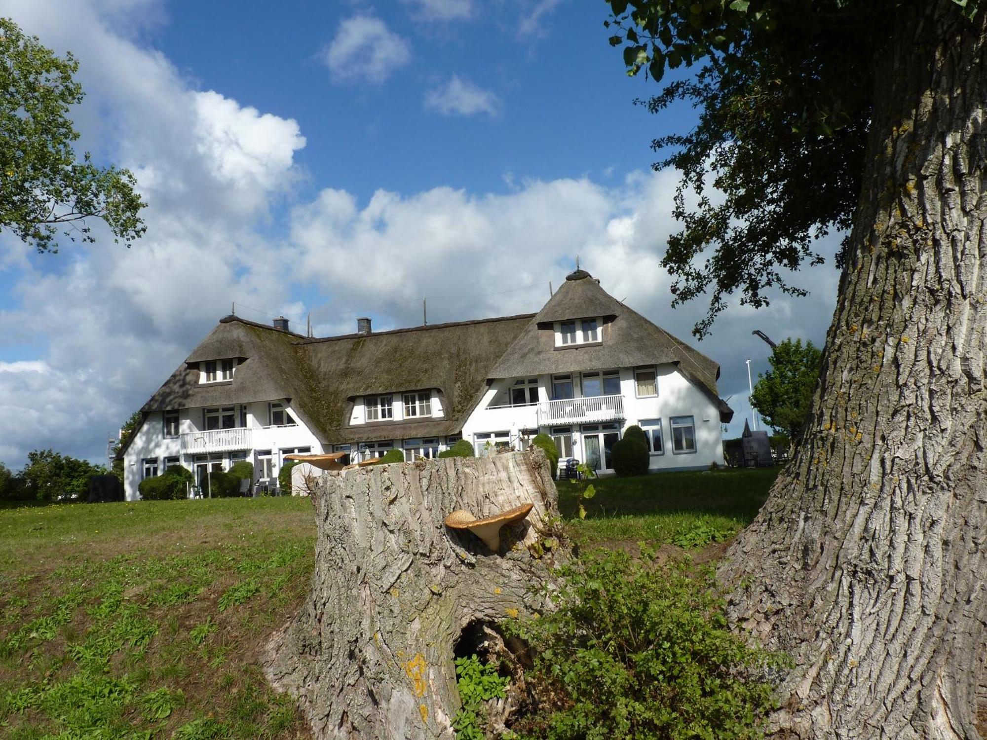 Das Landhaus am Haff LHH B09 view 4