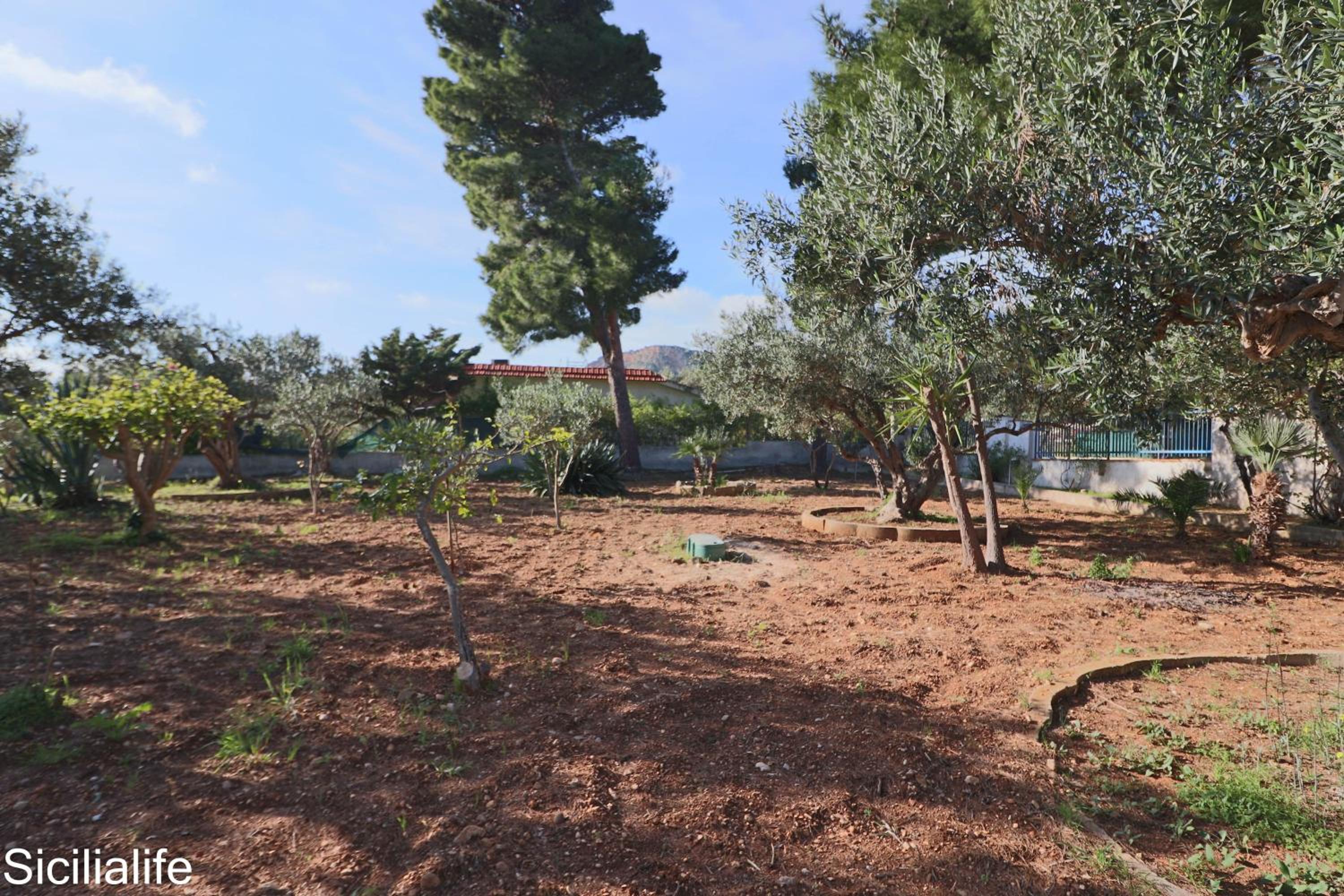 Villa Casa di Franca - 700 meters from the sea Scopello view 4
