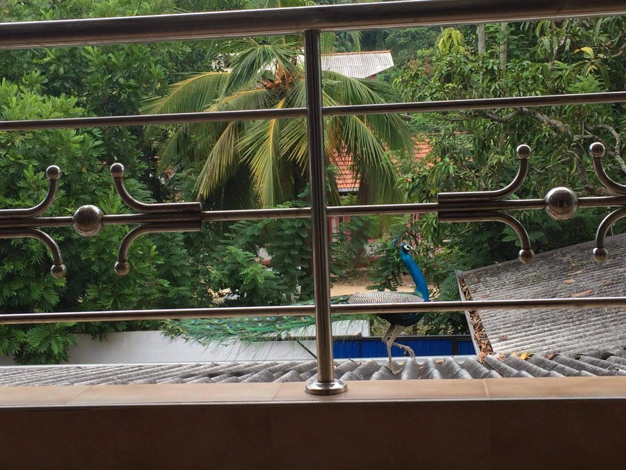Mirissa Dream Villa view 4