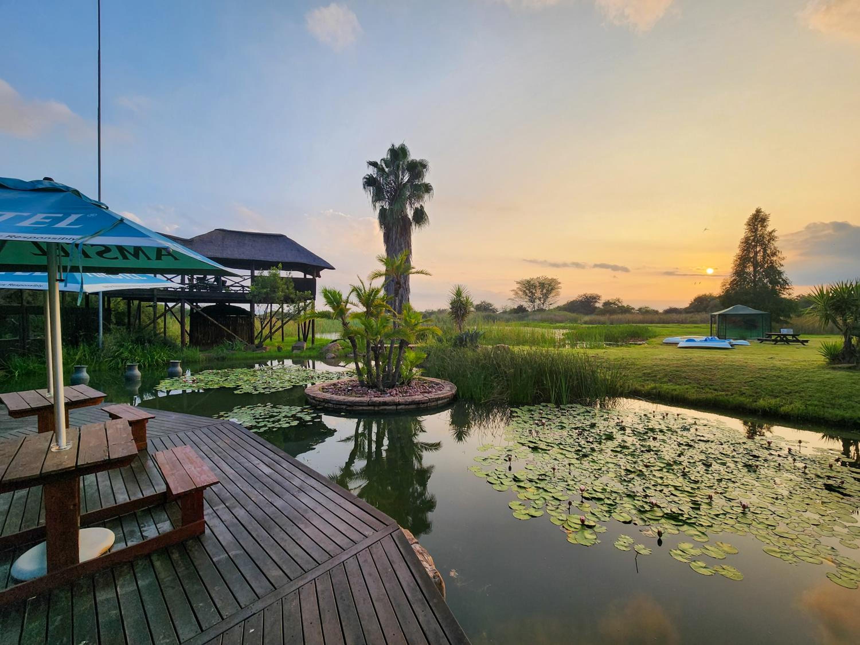 Ditholo Game Lodge Bela Bela view 5